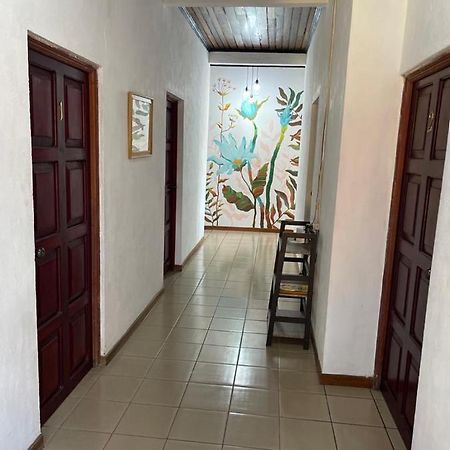 Hotel Villa Margarita Флорес Экстерьер фото